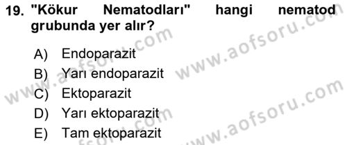 Entomoloji Dersi 2024 - 2025 Yılı (Final) Dönem Sonu Sınav Soruları 19. Soru