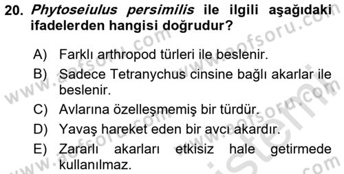Entomoloji Dersi 2024 - 2025 Yılı (Final) Dönem Sonu Sınav Soruları 20. Soru