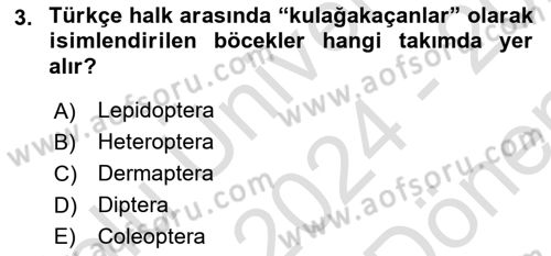 Entomoloji Dersi 2024 - 2025 Yılı (Final) Dönem Sonu Sınav Soruları 3. Soru