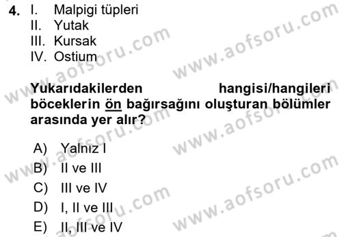 Entomoloji Dersi 2024 - 2025 Yılı (Final) Dönem Sonu Sınav Soruları 4. Soru