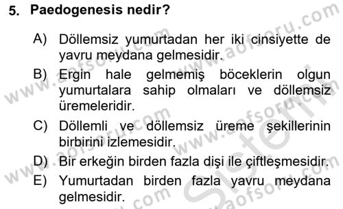 Entomoloji Dersi 2024 - 2025 Yılı (Final) Dönem Sonu Sınav Soruları 5. Soru