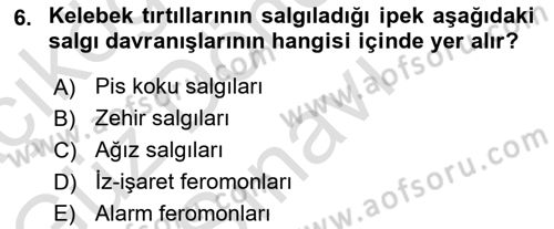 Entomoloji Dersi 2024 - 2025 Yılı (Final) Dönem Sonu Sınav Soruları 6. Soru