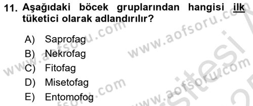 Entomoloji Dersi 2024 - 2025 Yılı Yaz Okulu Sınav Soruları 11. Soru