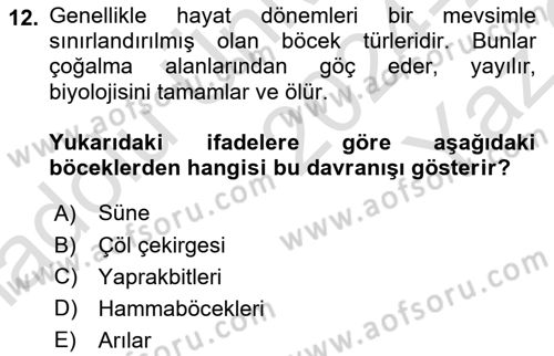 Entomoloji Dersi 2024 - 2025 Yılı Yaz Okulu Sınav Soruları 12. Soru