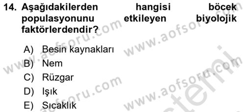 Entomoloji Dersi 2024 - 2025 Yılı Yaz Okulu Sınav Soruları 14. Soru