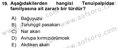 Entomoloji Dersi 2024 - 2025 Yılı Yaz Okulu Sınav Soruları 19. Soru