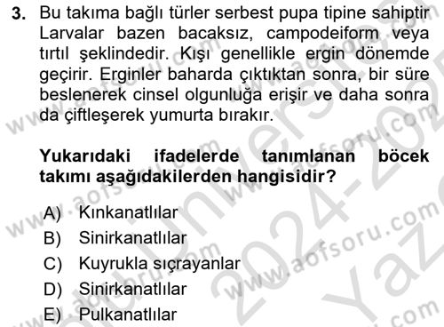 Entomoloji Dersi 2024 - 2025 Yılı Yaz Okulu Sınav Soruları 3. Soru