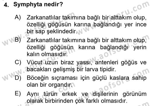 Entomoloji Dersi 2024 - 2025 Yılı Yaz Okulu Sınav Soruları 4. Soru