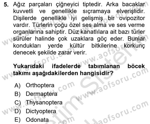 Entomoloji Dersi 2024 - 2025 Yılı Yaz Okulu Sınav Soruları 5. Soru