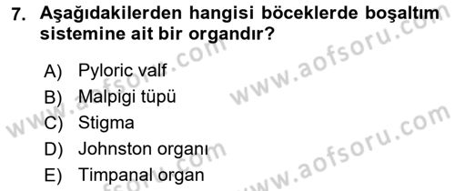 Entomoloji Dersi 2024 - 2025 Yılı Yaz Okulu Sınav Soruları 7. Soru