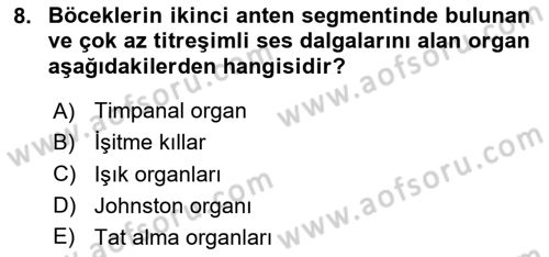 Entomoloji Dersi 2024 - 2025 Yılı Yaz Okulu Sınav Soruları 8. Soru