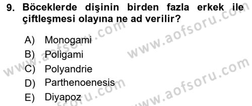 Entomoloji Dersi 2024 - 2025 Yılı Yaz Okulu Sınav Soruları 9. Soru