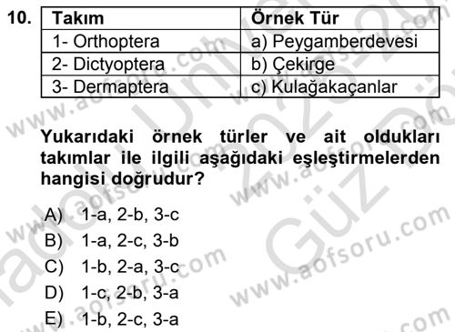 Entomoloji Dersi 2025 - 2026 Yılı (Vize) Ara Sınav Soruları 10. Soru