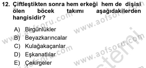Entomoloji Dersi 2025 - 2026 Yılı (Vize) Ara Sınav Soruları 12. Soru