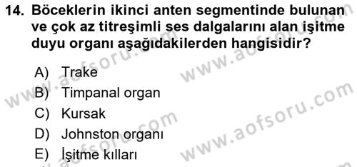Entomoloji Dersi 2025 - 2026 Yılı (Vize) Ara Sınav Soruları 14. Soru