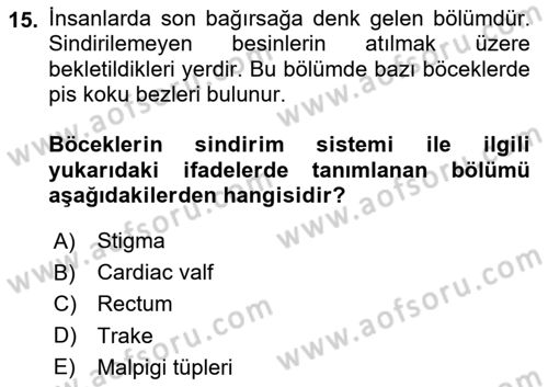 Entomoloji Dersi 2025 - 2026 Yılı (Vize) Ara Sınav Soruları 15. Soru
