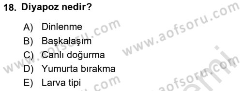 Entomoloji Dersi 2025 - 2026 Yılı (Vize) Ara Sınav Soruları 18. Soru