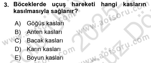 Entomoloji Dersi 2025 - 2026 Yılı (Vize) Ara Sınav Soruları 3. Soru