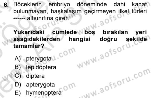 Entomoloji Dersi 2025 - 2026 Yılı (Vize) Ara Sınav Soruları 6. Soru