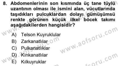 Entomoloji Dersi 2025 - 2026 Yılı (Vize) Ara Sınav Soruları 8. Soru