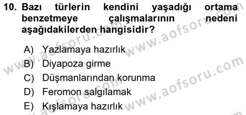 Entomoloji Dersi 2025 - 2026 Yılı (Final) Dönem Sonu Sınav Soruları 10. Soru