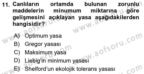 Entomoloji Dersi 2025 - 2026 Yılı (Final) Dönem Sonu Sınav Soruları 11. Soru