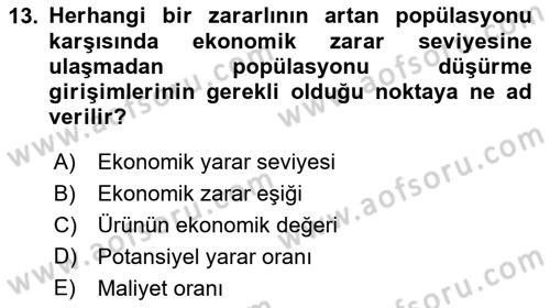 Entomoloji Dersi 2025 - 2026 Yılı (Final) Dönem Sonu Sınav Soruları 13. Soru
