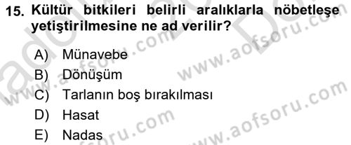 Entomoloji Dersi 2025 - 2026 Yılı (Final) Dönem Sonu Sınav Soruları 15. Soru