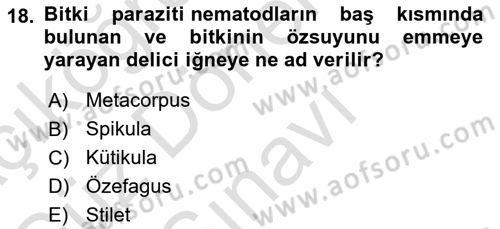 Entomoloji Dersi 2025 - 2026 Yılı (Final) Dönem Sonu Sınav Soruları 18. Soru
