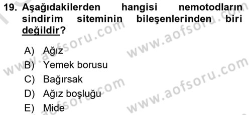 Entomoloji Dersi 2025 - 2026 Yılı (Final) Dönem Sonu Sınav Soruları 19. Soru