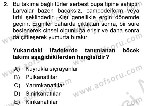 Entomoloji Dersi 2025 - 2026 Yılı (Final) Dönem Sonu Sınav Soruları 2. Soru