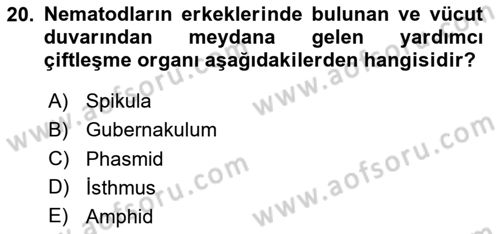 Entomoloji Dersi 2025 - 2026 Yılı (Final) Dönem Sonu Sınav Soruları 20. Soru