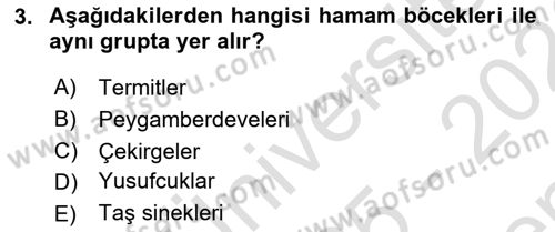 Entomoloji Dersi 2025 - 2026 Yılı (Final) Dönem Sonu Sınav Soruları 3. Soru