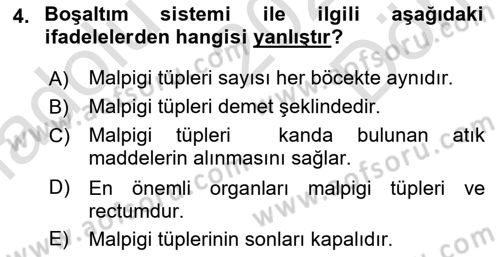 Entomoloji Dersi 2025 - 2026 Yılı (Final) Dönem Sonu Sınav Soruları 4. Soru