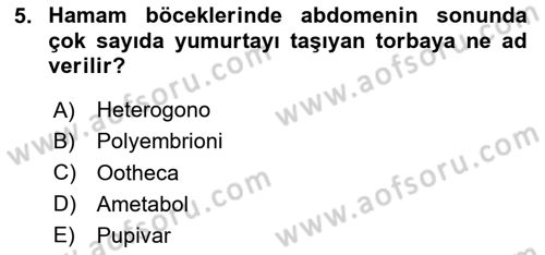Entomoloji Dersi 2025 - 2026 Yılı (Final) Dönem Sonu Sınav Soruları 5. Soru