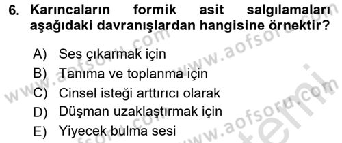 Entomoloji Dersi 2025 - 2026 Yılı (Final) Dönem Sonu Sınav Soruları 6. Soru