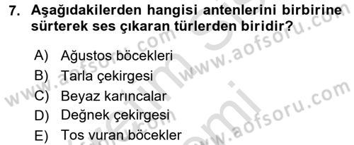 Entomoloji Dersi 2025 - 2026 Yılı (Final) Dönem Sonu Sınav Soruları 7. Soru