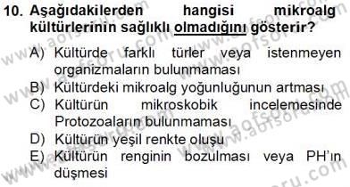 Su Ürünleri Dersi 2012 - 2013 Yılı (Final) Dönem Sonu Sınav Soruları 10. Soru