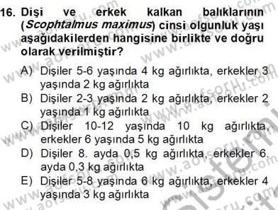 Su Ürünleri Dersi 2012 - 2013 Yılı (Final) Dönem Sonu Sınav Soruları 16. Soru