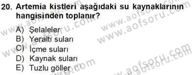 Su Ürünleri Dersi 2012 - 2013 Yılı (Final) Dönem Sonu Sınav Soruları 20. Soru