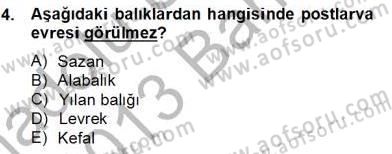 Su Ürünleri Dersi 2012 - 2013 Yılı (Final) Dönem Sonu Sınav Soruları 4. Soru