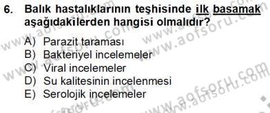 Su Ürünleri Dersi 2012 - 2013 Yılı (Final) Dönem Sonu Sınav Soruları 6. Soru