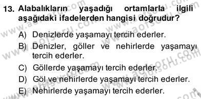 Su Ürünleri Dersi 2013 - 2014 Yılı (Vize) Ara Sınav Soruları 13. Soru