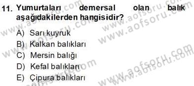 Su Ürünleri Dersi 2013 - 2014 Yılı (Final) Dönem Sonu Sınav Soruları 11. Soru