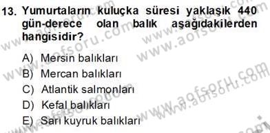 Su Ürünleri Dersi 2013 - 2014 Yılı (Final) Dönem Sonu Sınav Soruları 13. Soru