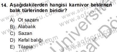 Su Ürünleri Dersi 2013 - 2014 Yılı (Final) Dönem Sonu Sınav Soruları 14. Soru