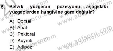 Su Ürünleri Dersi 2013 - 2014 Yılı (Final) Dönem Sonu Sınav Soruları 5. Soru