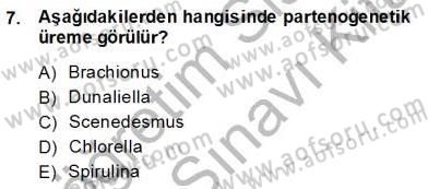 Su Ürünleri Dersi 2013 - 2014 Yılı (Final) Dönem Sonu Sınav Soruları 7. Soru