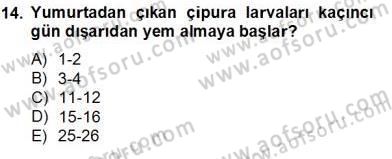 Su Ürünleri Dersi 2013 - 2014 Yılı Tek Ders Sınav Soruları 14. Soru