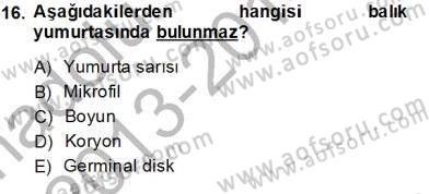 Su Ürünleri Dersi 2013 - 2014 Yılı Tek Ders Sınav Soruları 16. Soru